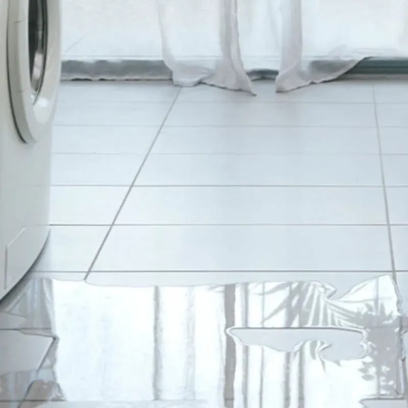 Appliance Leak Cleanup in Waterloo, WI