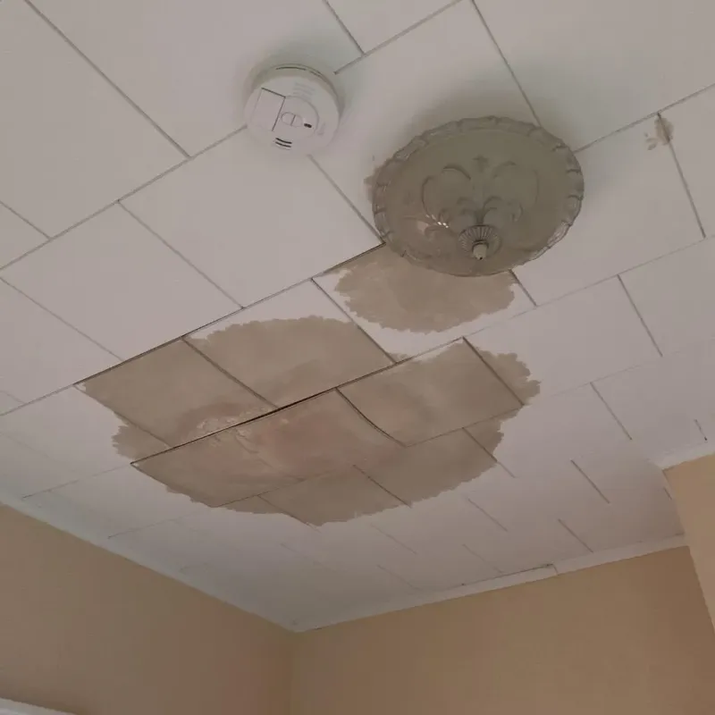 Ceiling Water Damage Repair in Waterloo, WI