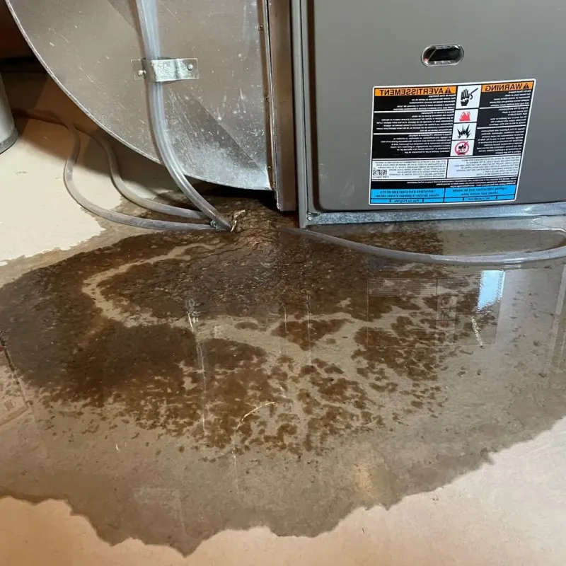 Pipe Burst and Leak Restoration in Waterloo, WI