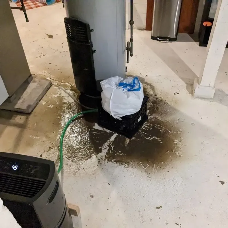 Sewage Backup Cleanup Service in Waterloo, WI